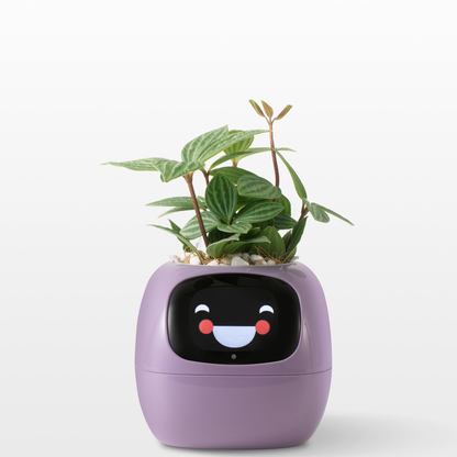 Smart Planter – AI Expressions & Sensors - NewGenCleanerz