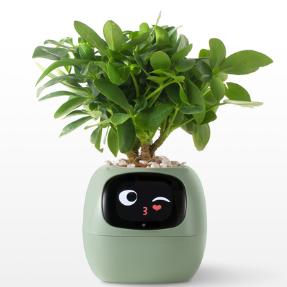 Smart Planter – AI Expressions & Sensors - NewGenCleanerz